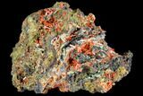 Bright Orange Crocoite Crystal Cluster - Tasmania #103805-1